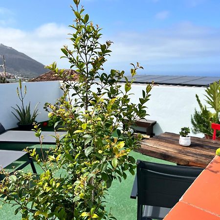 The Little Brezo Stone Home Tenerife ลอส เรอาเลคอส ภายนอก รูปภาพ