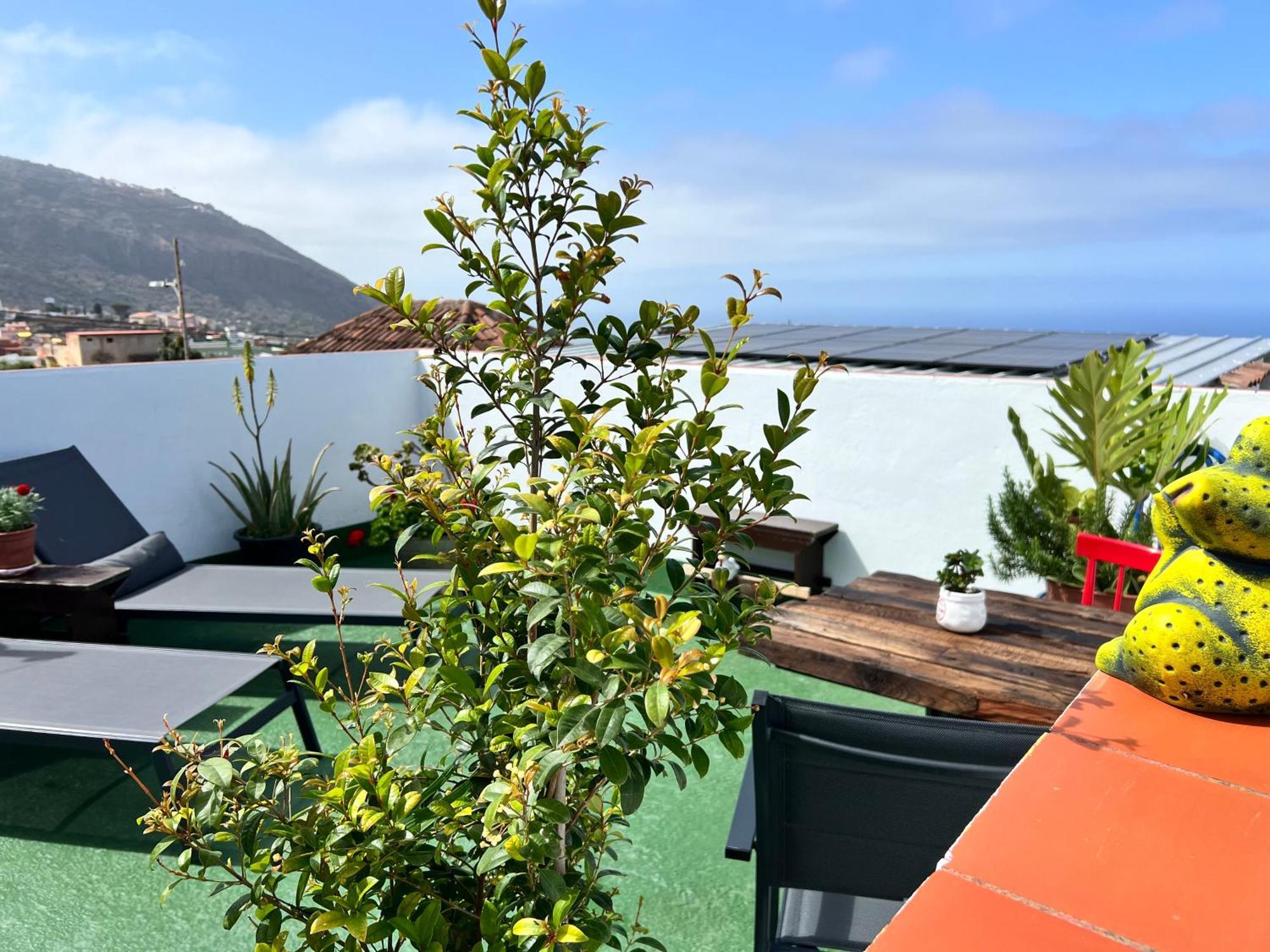 The Little Brezo Stone Home Tenerife ลอส เรอาเลคอส ภายนอก รูปภาพ